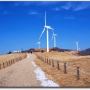 건지목장 이미지