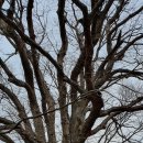 보은약수터 이미지