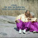 부모사랑