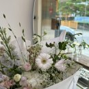 [일산] 백석동 퀄리티 좋은 꽃집 니모메플라워