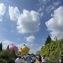 별난공주