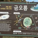 정하목장 이미지