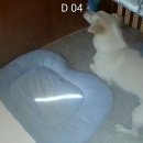 호텔델루멍 이미지