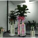 미르세무회계 이미지