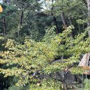 늘솔길숲이야기 화장실 | 포항 늘솔길 캠핑촌 데크2번 후기