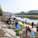 무주 당산대교 이미지