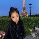 제니스타일 - 15662 | 제니스타일