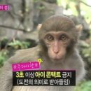 야호세탁소