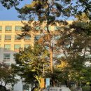 경희대학교 관광대학원 | [대학원] 🍂경희대학교 ✨관광대학원✨ 면접 후기