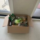 스테이 소돌 이미지