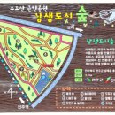 비비정 상생 도시숲 이미지