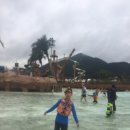 동아대유도관 이미지