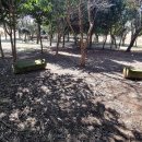 IUCN 나눔의 숲 이미지