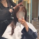 청사집 | 준오헤어 과천청사역점 윤아라 디자이너 프리미엄 케어 후기 정부과천청사역 미용실 여자머리