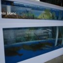 백사장회센터 이미지