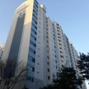 세종옵티마약국 이미지