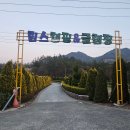 GR(강진군)-[해강로]-하-15 | 강진 애견동반가능한 림스캠핑&amp;글램핑장 솔직후기,강진생태공원