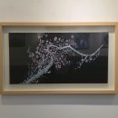 지음 이미지