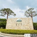 소통하는 나무 | [오크밸리 1박 2일] 예술과 자연이 만나 소통하는 공간, 안도 타다오 뮤지엄 산 관람 후기