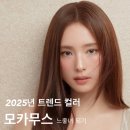 파라다이스헤어앤스파 | 부산대 미용실 추천 파라다이스 헤어 앤 스파 ㅣ 모카무스 염색 대성공