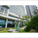 화합의 꽃이 피다 이미지