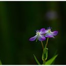 김재연농장 이미지