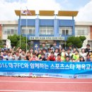스포츠스타 스포츠조선