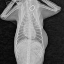 의정부종합동물병원 이미지