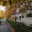 삼작로 410번길 이미지