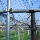 심가네농장 이미지