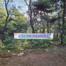 솔샘 유치원 | [인천 솔샘유치원] 숲 부모 참여 수업☘️