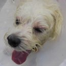 네오메디컬동물병원 이미지