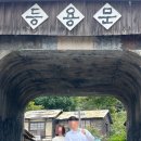 카페 바이올렛 | 순천드라마촬영장 근처 카페 꽃집 : 바이올렛 스튜디오