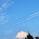 엘클래식의원 이미지