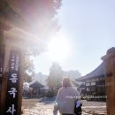 여흥2구 이미지
