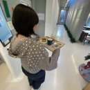 온실리움 | [울산 언양 카페 ] 열대식물이 가득한 울주군 대형카페 부모님과 함께가기 좋은 울산 카페 | 온실리움