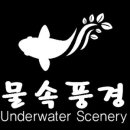 물속풍경수족관 - 당진시 서부로 39-5 | 물속풍경수족관
