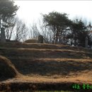 정정옹주묘 | [경기 안산]정정옹주 묘