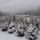 지동산촌마을 이미지