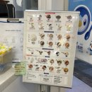 요거트월드상남 | 창원 상남동 아이스크림 맛집 [요거트월드 상남사거리점] 내돈내산 솔직후기
