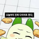 문돼지 - 화천군 사내로4길 24 | 문돼지
