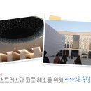 서울탑치과병원 이미지