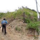 구룡달전로 이미지