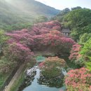 명옥헌원림2(입구) 이미지