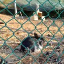 별주부전테마파크 | 사천 비토섬 가볼만한 곳 - 별주부전 테마파크 귀여운 토끼가 있어요~