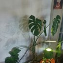 도수상사 이미지