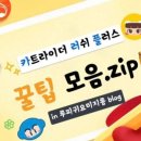 초롱 아귀 밴드/펭귄 케피 페인트/눈사람 코스튬☃️