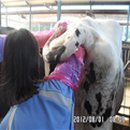 농고목장 이미지