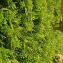 유토피아관광호텔 이미지