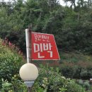 물안민박 이미지